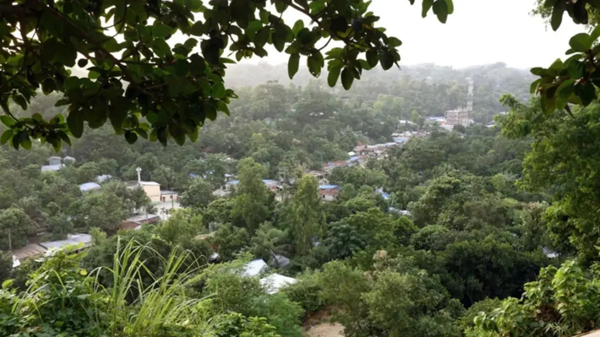চট্টগ্রামের সীতাকুণ্ড উপজেলার জঙ্গল সলিমপুর। ছবি : সংগৃহীত