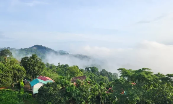 পার্বত্য অঞ্চল
